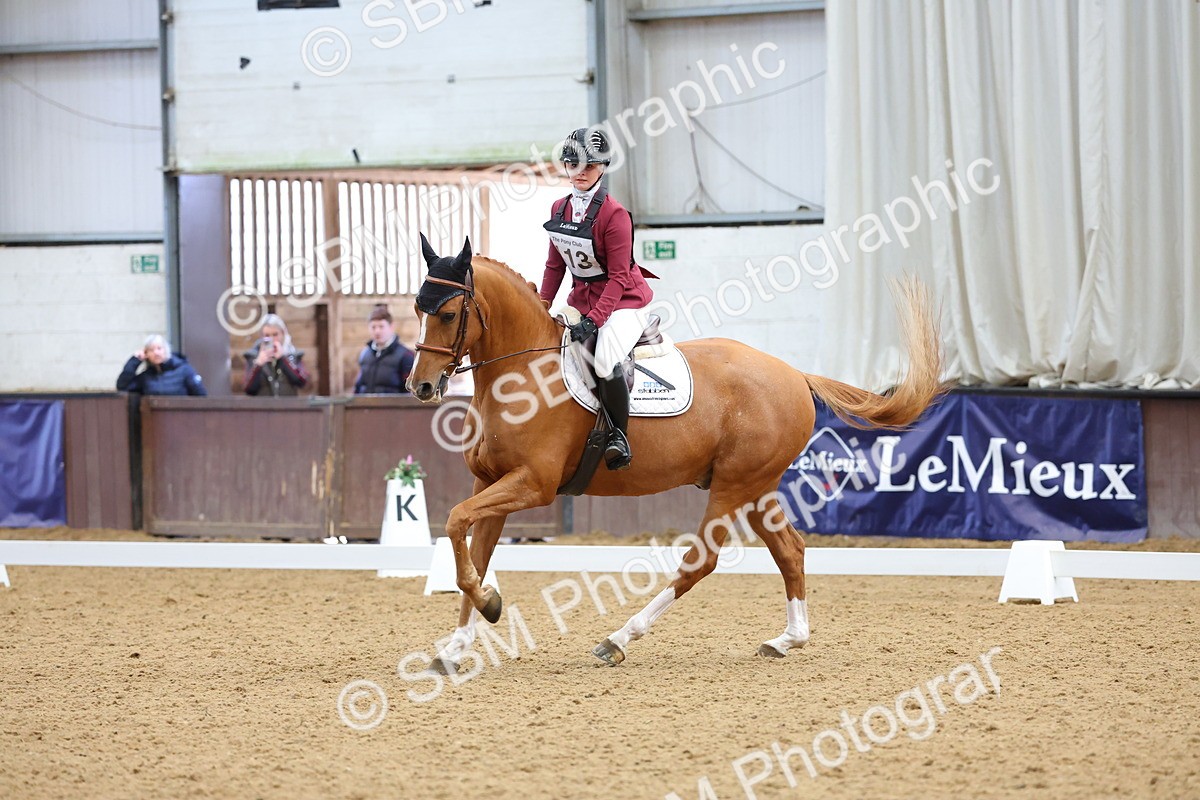 SBM_002640 - Novice
