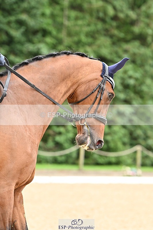 240811-105004-05021 - 163-Sue.Jackson-Verano