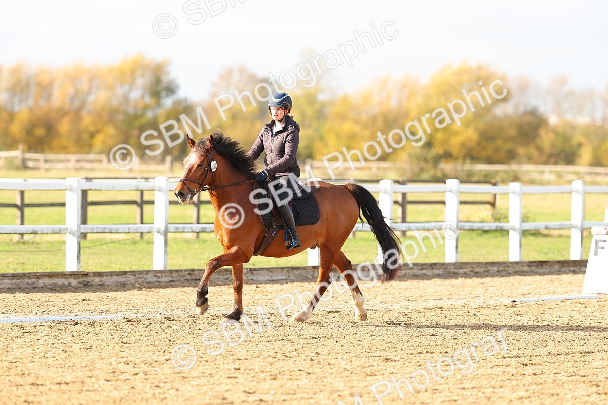 SBM_001221 - Class 13-4-9 - DR P3 CT P3 70cm CT PYO