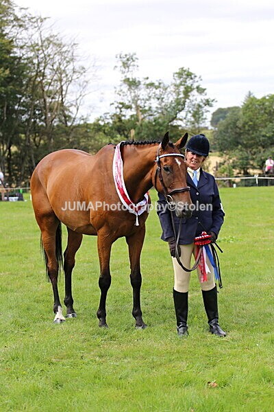 SIAL7484 - championships