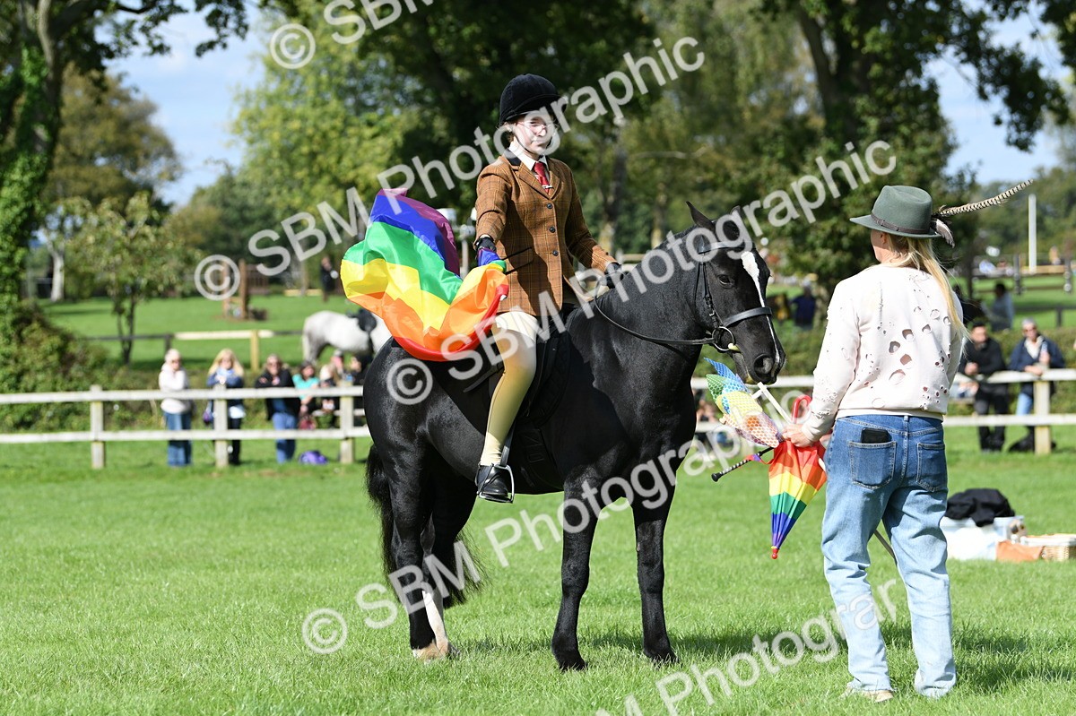 SBM_47062 - S12 - Family Horse & Pony