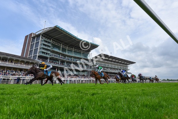 150524-Race 6-Shadow Army-5591 - Race 6 4.45pm British Stallion Studs EBF Novice Stakes