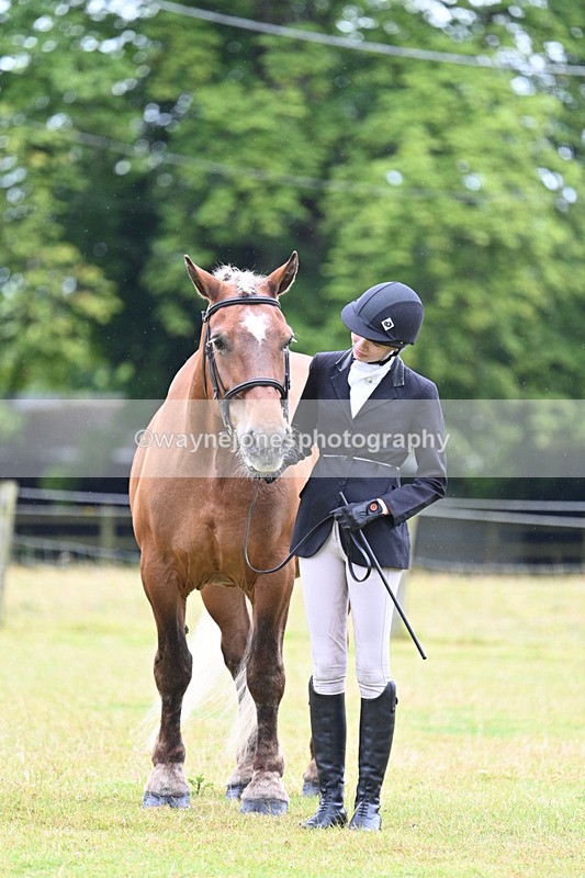 WJ7_6164 - Class 4a Prettiest Mare over 14hh