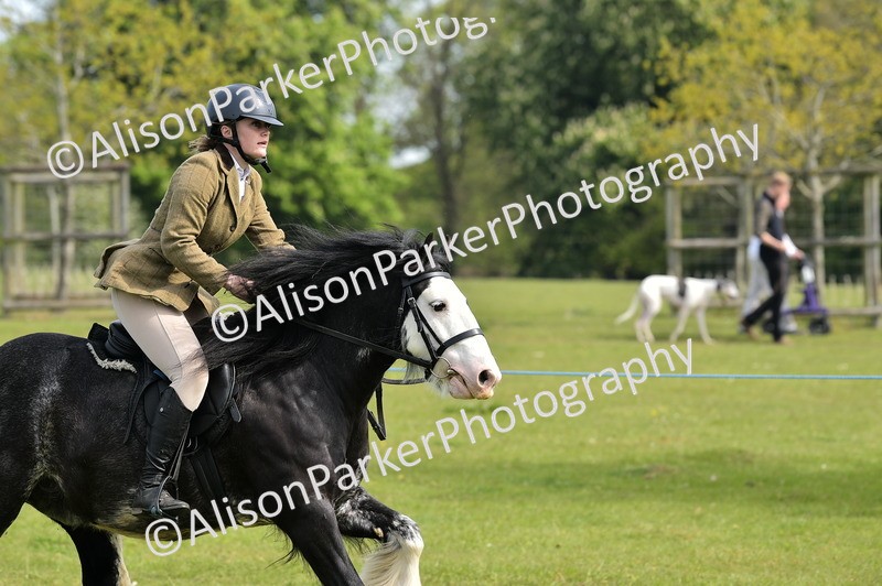 20260426-2289 - Class 20 - Beginner Working Hunter