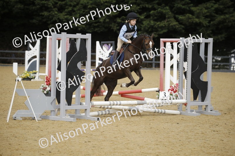 20250622-1417 - 40cm