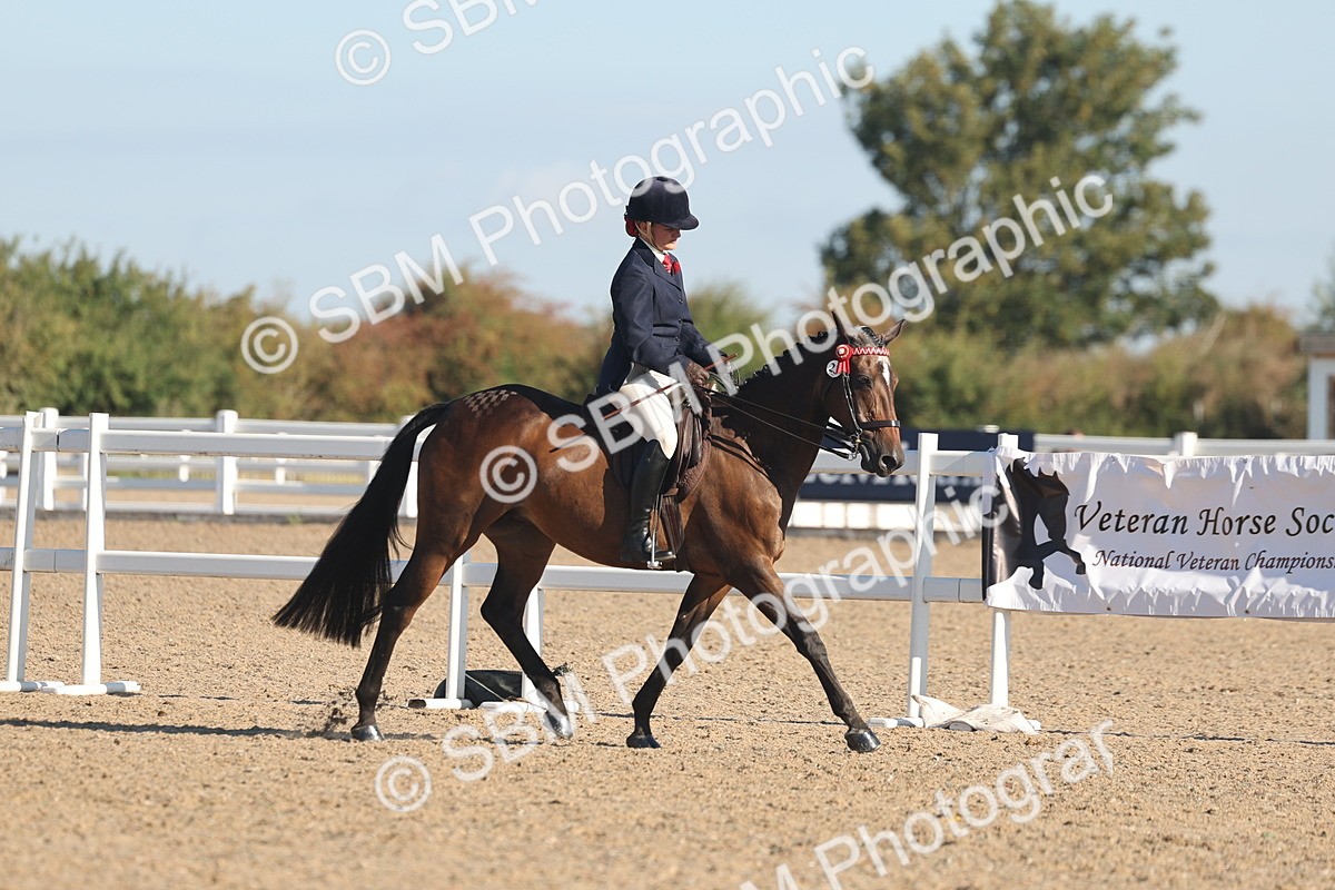 SBM_12194 - Class 303 - Ridden Pure Bred Horse Pony