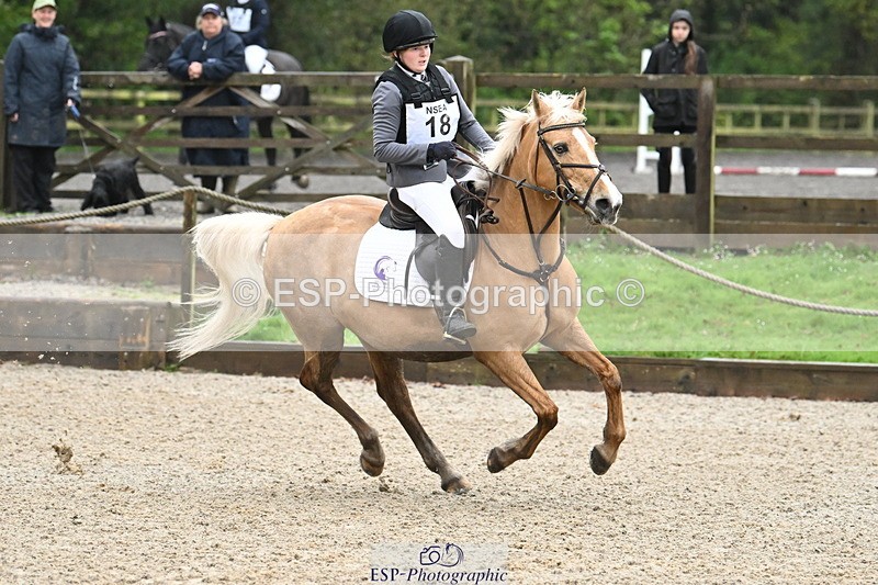 250418A-082019-00095 - NSEA GR 40cm and 50cm