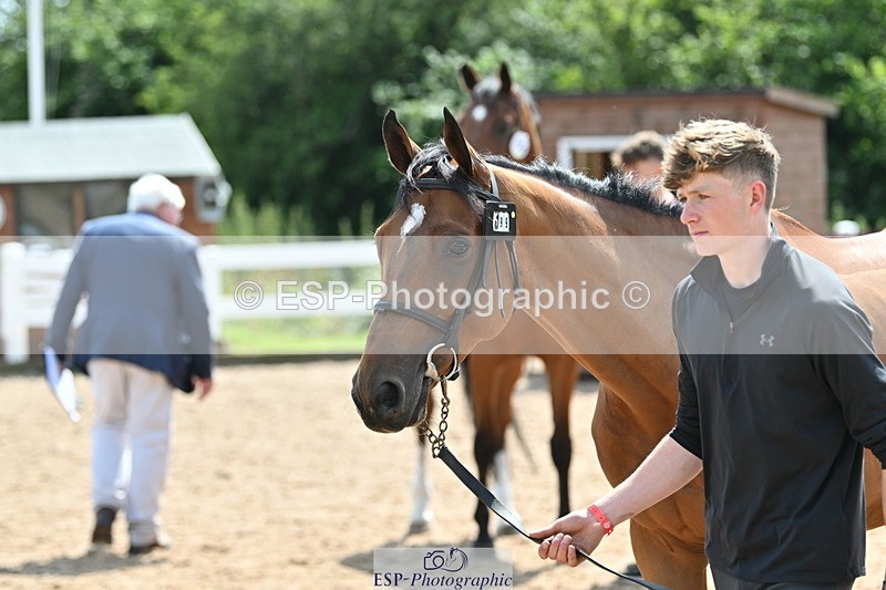 240717A-150241-02479 - Trot Up 3pm to 4pm
