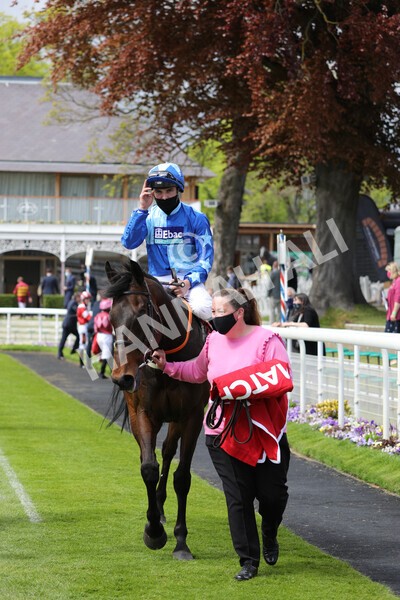  - Race 3 2.40pm The Matchbook Betting Podcast Hambleton Stakes