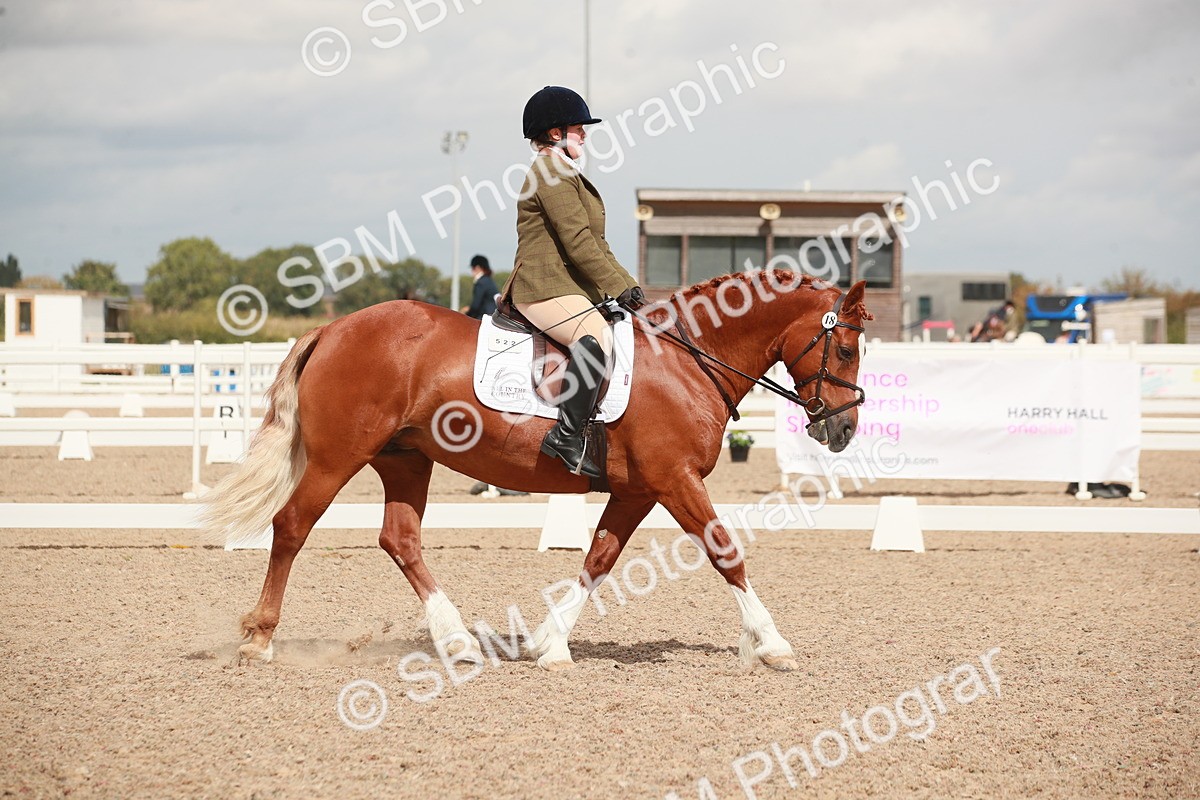 SBM_05874 - Class 32 - Novice 1