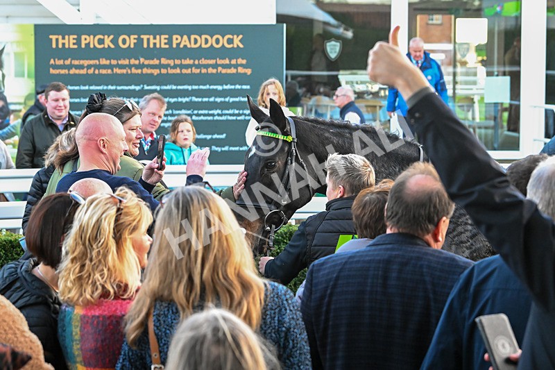 291024-Race 7-Crocodile Power-6588 - Race 7