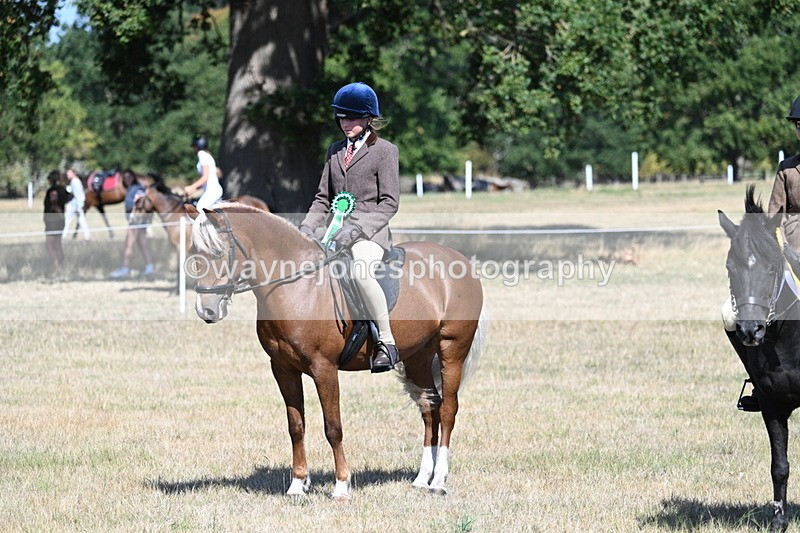 WJ7_4180 - Class 9 Mountain & Moorland Ridden