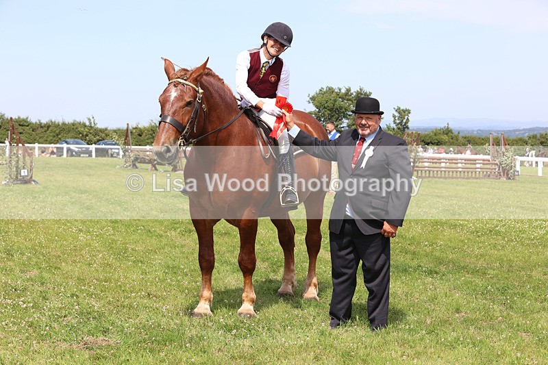 JPP_3535 - Class 15: Heavy Horse Ridden