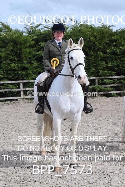 BPP_7573 - RING 1  (RIDDEN HORSES / IN HAND / VETERAN ETC)