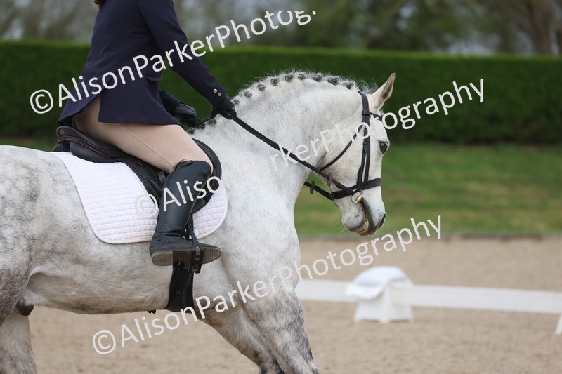 20260404-0384 - Class 3 - Prelim 1