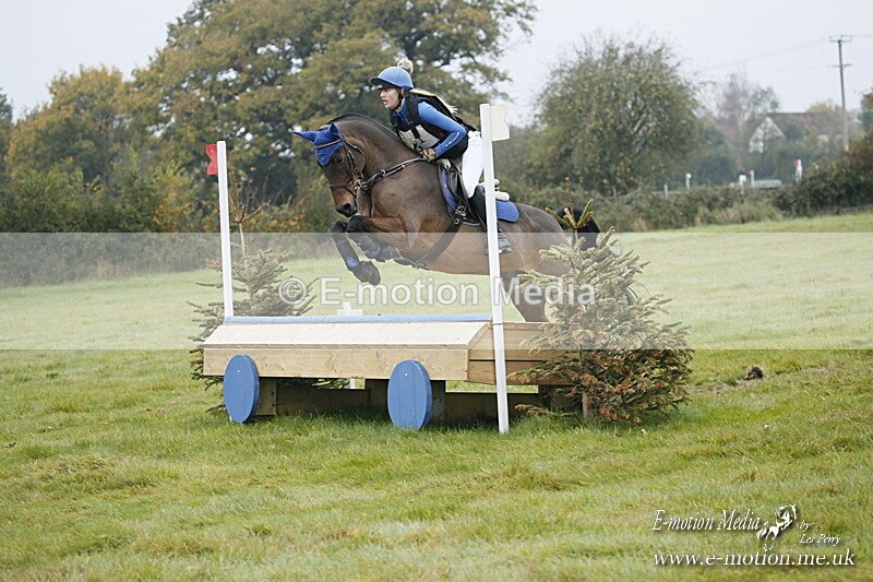 WWHT 181020 WWHT 181020 296 - WWEC Novice Restricted (0.80m) 18/10/20