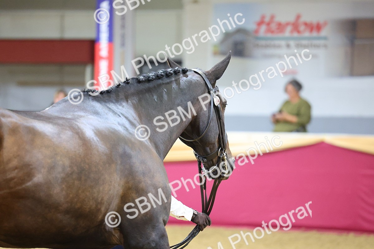 SBM_20850 - Class 902 - Supreme Final IH Veteran