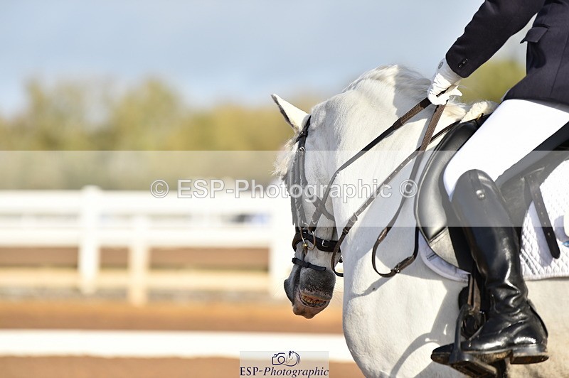 231104A-100804-01268 - Cls 2 Prelim 19