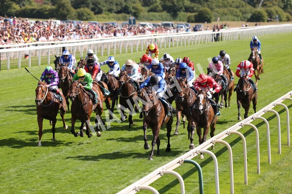 yr09072022r5-34 - Race 5 4.05pm John Smith's Cup