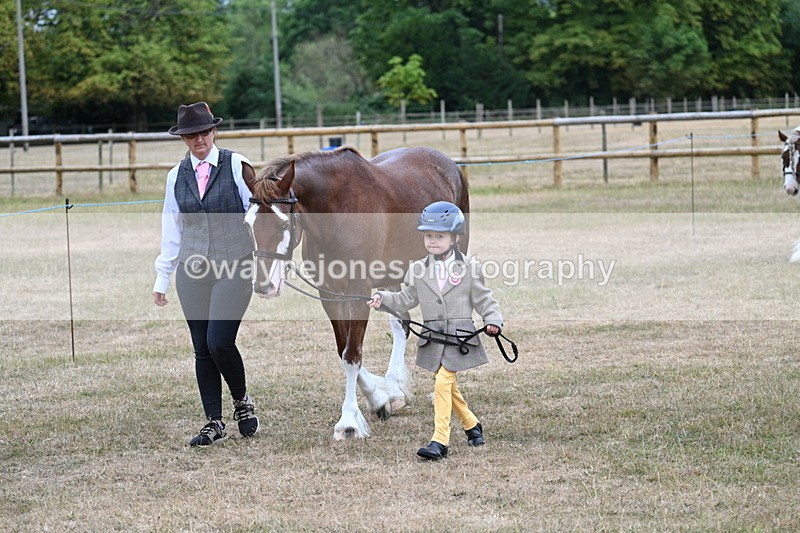 WJ7_8011 - Class 4 Prettiest Mare up to 14.2hh