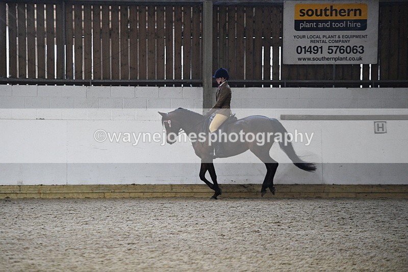 WJ5_8927 - Class 15 Ridden Show Horse