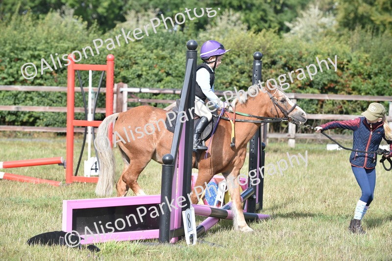 20250831-0365 - Class 6 - Minimus Jumping 30cm