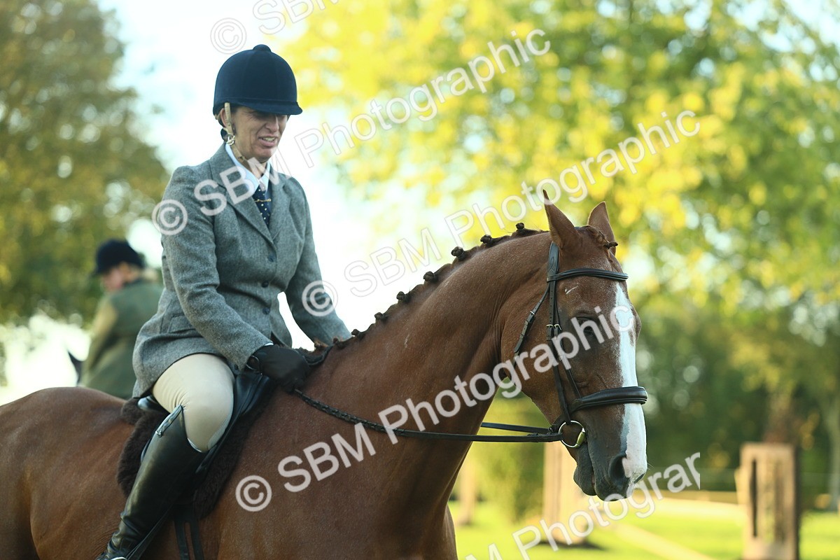 SBM_55648 - S14 - Riding Club Horse