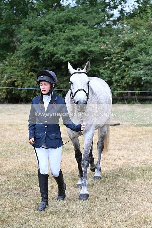WJ7_1862 - Class 4a Prettiest Mare 14.2hh and over hand