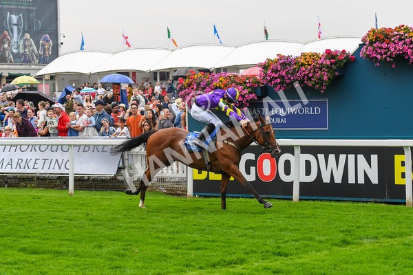 100923-Pony Race 1-0102 - Pony Race 1 12.25 The Dragon (TV and Film) Studios Pony Race 148cm & Under