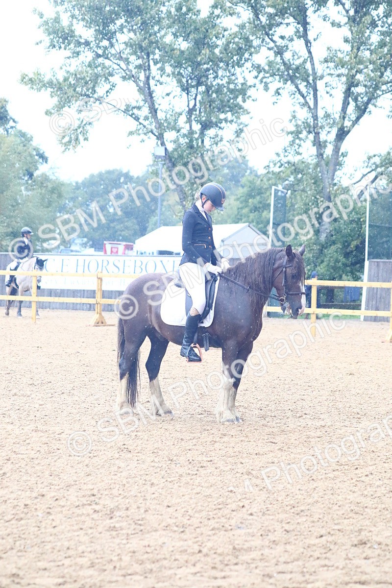 SBM_38854 - D21 - Junior Championship Intro 1