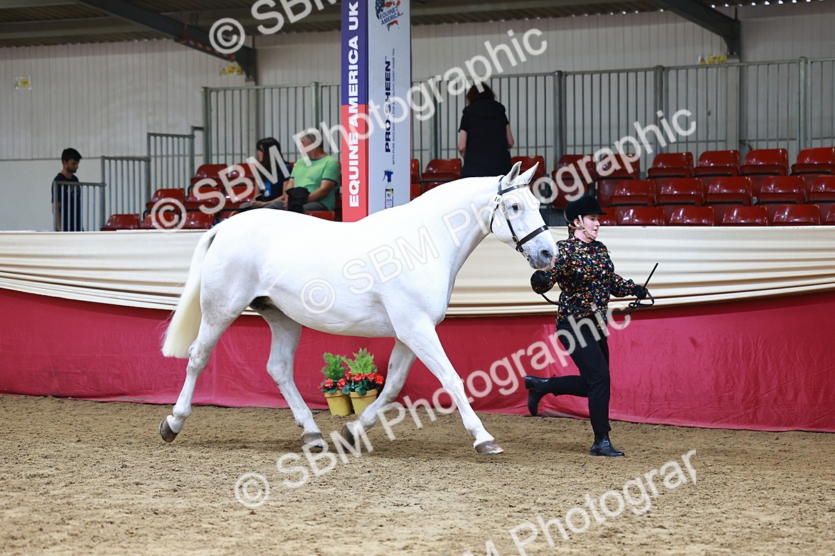 SBM_23067 - Class 903 - Supreme Final - IH Pre Vet