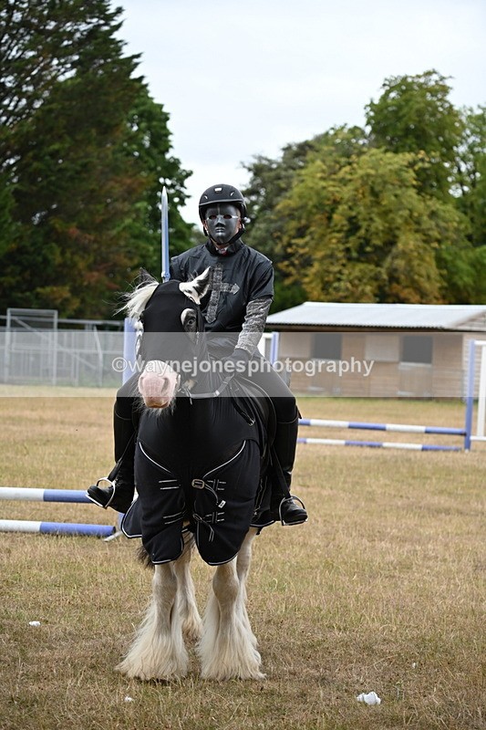 WJ6_8977 - Class 11 Fancy Dress