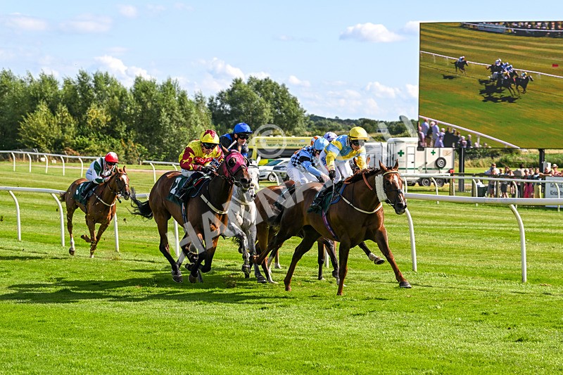 060824-Race 5-Jamih-2944 - Race 5