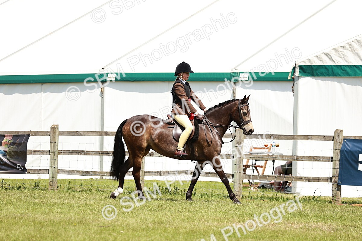 SBM_15770 - Class 108-109 - BSPS LIHS Open Gradle & Nursery Stakes