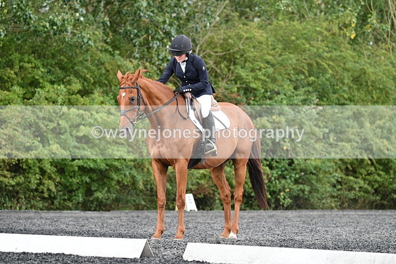 WJ7_7936 - Time 13:40 to 14:00