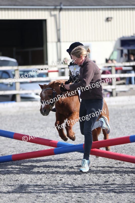 20260412-0071 - Show Jumping