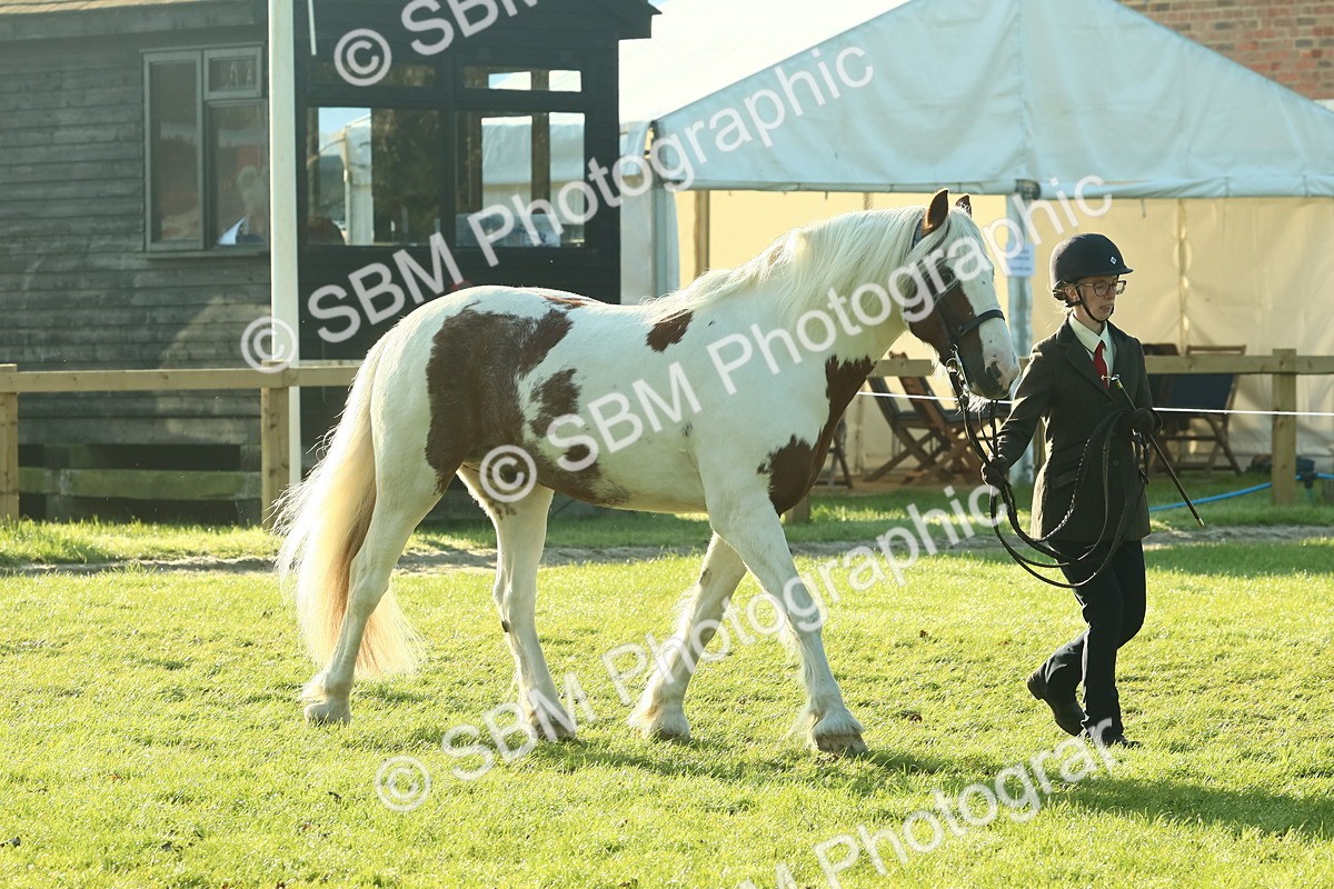 SBM_57420 - S37 - Starters In Hand Showing