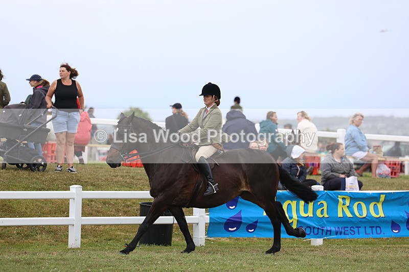 3E7A1491 - Class 9: Open Hunter