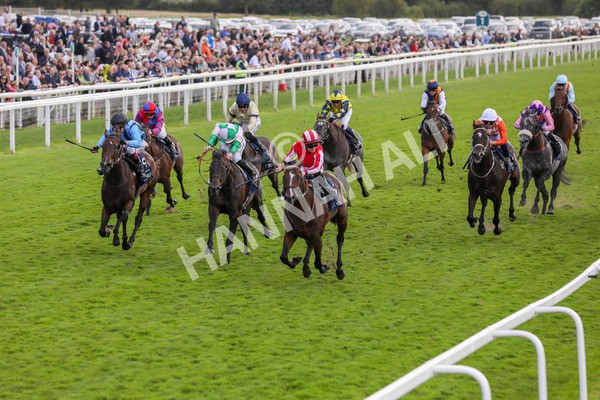 230824-Race 4-Bradsell-8403 - Race 4 3.35pm Coolmore Wootton Bassett Nunthorpe Stakes