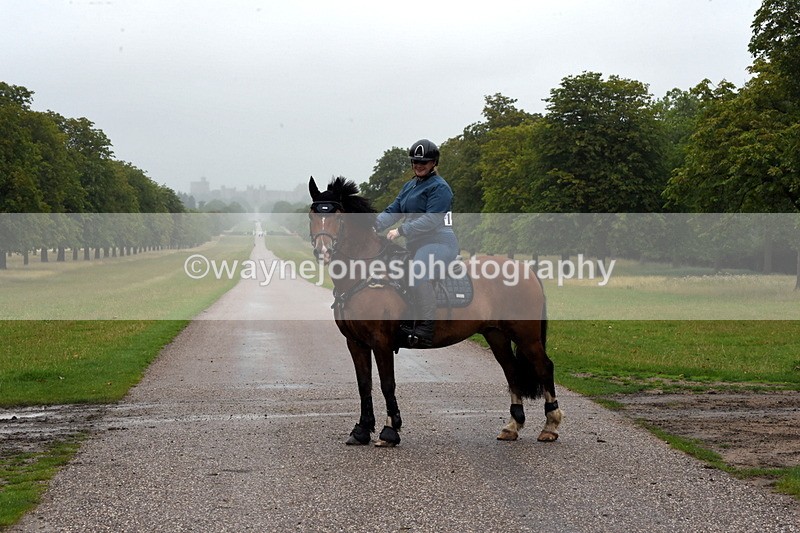 TT3_8351 - Time at Crossing 10:16 to 11:38