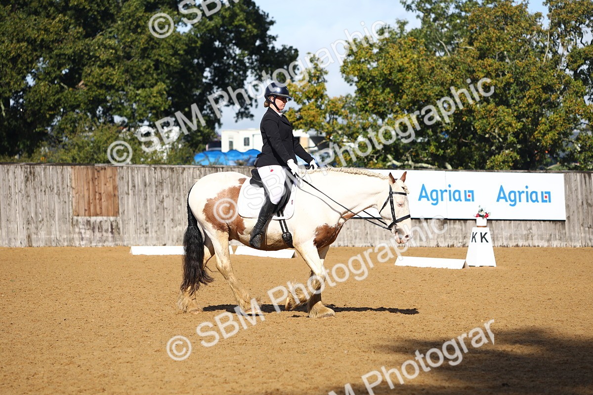 SBM_39005 - D21 - Junior Championship Intro 1