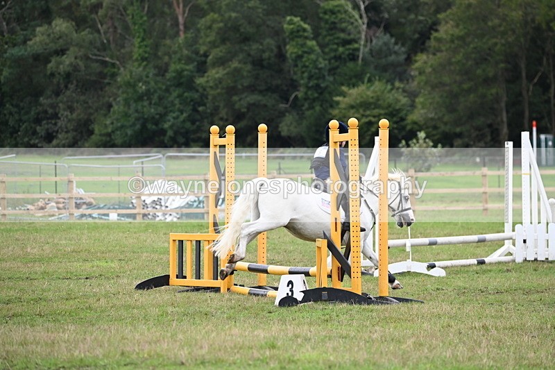 WJ6_0382 - 40cm Time 10:29 to 10:52