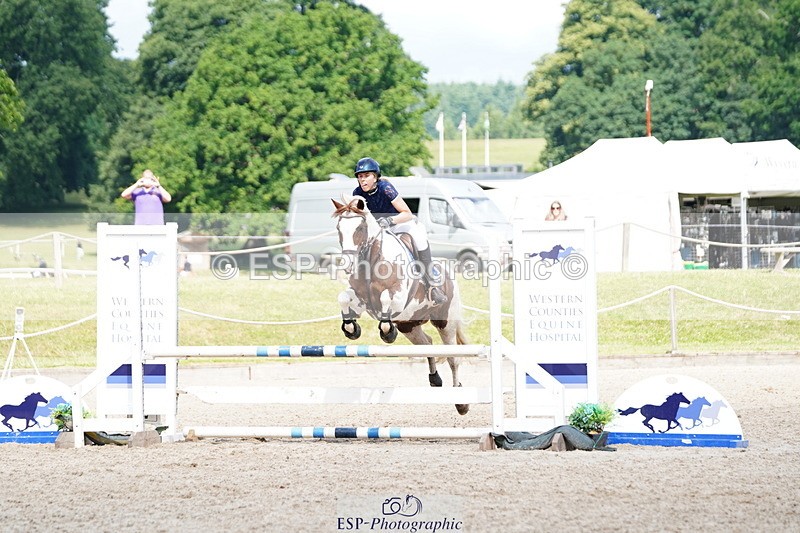 250615A-102308-10099 - Class 43 British Novice 90cm Open