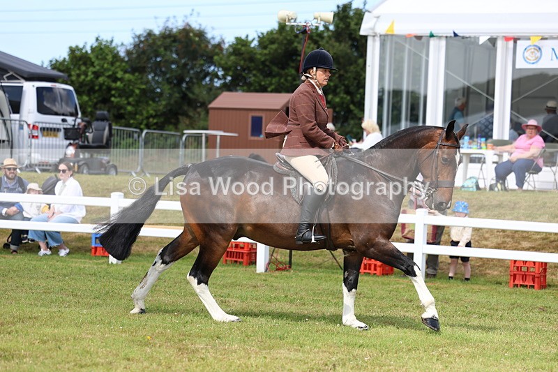 3E7A9723 - Class 5: Rising Star Lightweight/Heavyweight Cobs