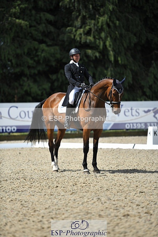 230525-102827-01718 - 312-J'ADORE_SALSA-Michael_Owen-WEDTrotUp+DR