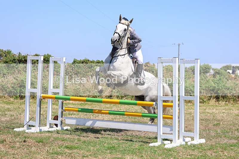 3E7A4359 - Class 10: Senior British Novice/90cm open