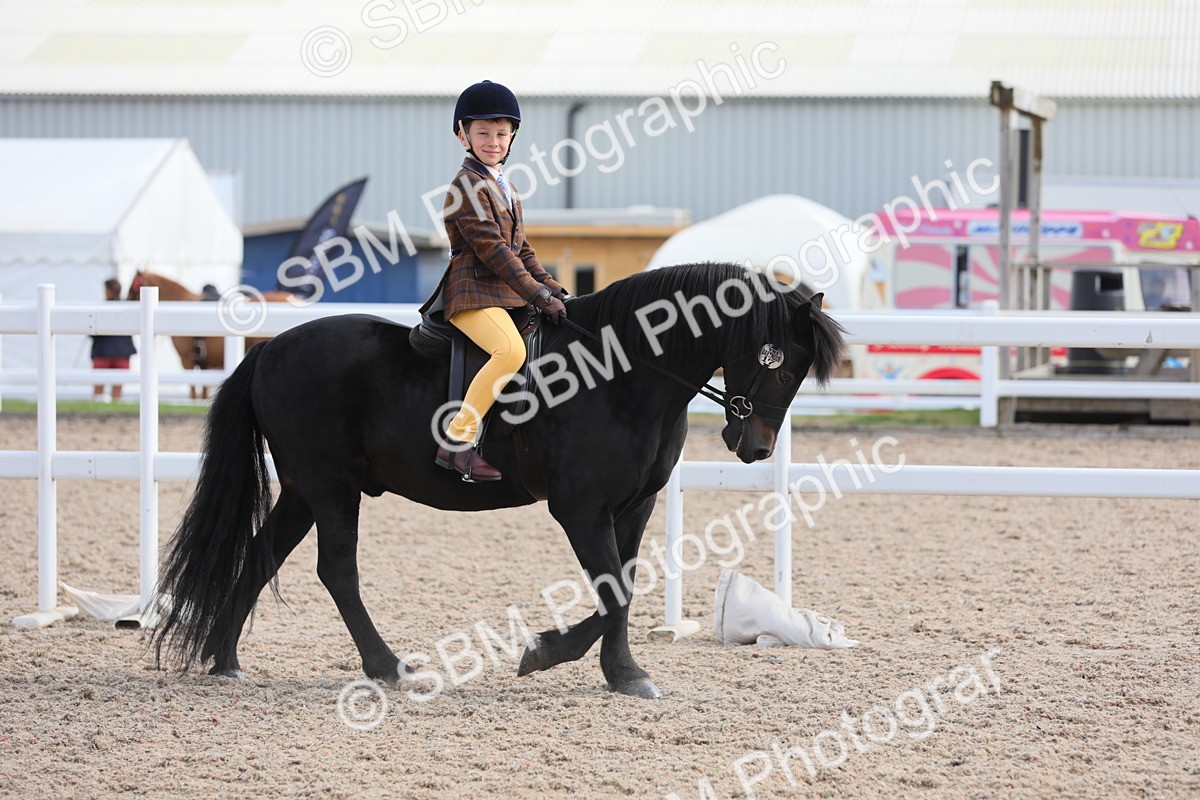 SBM_14680 - Class 310 First Ridden Pony