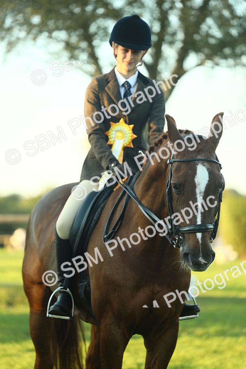 SBM_56566 - S14 - Riding Club Horse