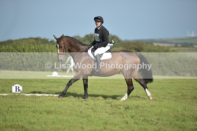 RAY_8054 - Class 2B: Trekenning Open: Dressage