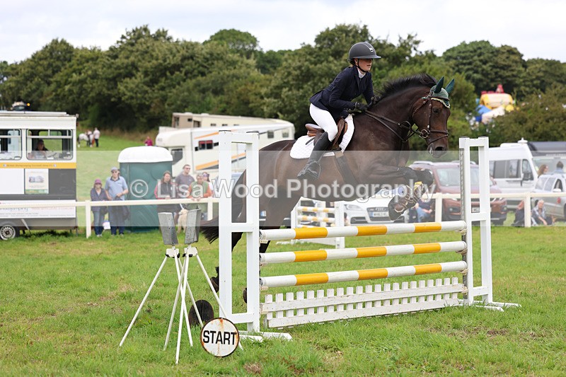3E7A7033 - Class 5: Senior British Novice/90cm open